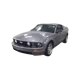Gray Mustang GT 2006
