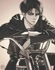 Levi Ackerman