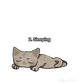 eepy sleepy cat