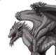 Gray dragon