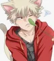Cat bakugou 