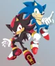 shadow y sonic