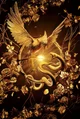 Hunger games qtquell