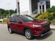 2019 RAV4 limitedawd