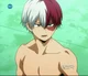 Todoroki shoto 