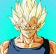 Vegeta Majin