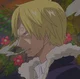 Sanji Vinsmoke