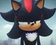 Shadow the hedgehog