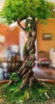 Tree Women