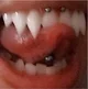 Vampire stalker 