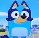 Adult Bluey