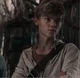 Newt