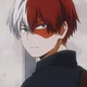 Shoto Todoroki 