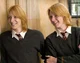 Gemelos weasley