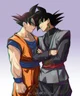 Goku and Goku black 