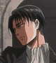 Levi Ackerman 