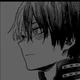 Shoto Todoroki 