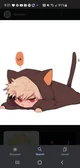 Cat bakugo