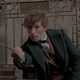 Newt Scamander