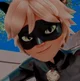Cat noir