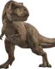 Rexy