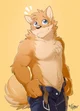 Arashi takemoto