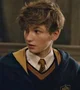 Newt Scamander 