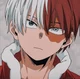 Shoto todoroki