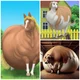 Blob Farm Animals