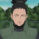 Shikamaru Nara