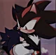 Shadow the hedgehog