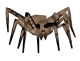 Bunker Spider