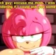 Amy Rose-Angelauxes-