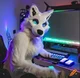 Carl - Fursuiter