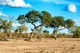 Africa