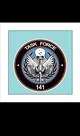Task force 141