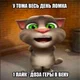 Tom Cat