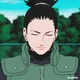 Shikamaru 