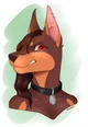 Furry Doberman Roxy