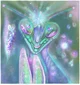Ascended Mantids