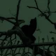 werecat