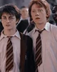 Harry and Ron 