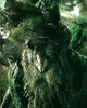 Treebeard