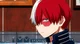 Todoroki 