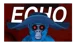 Echo