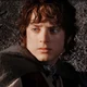 Frodo Baggins
