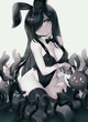 Bunny aria