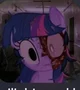 Twillight mlp virus