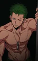 Spicy Zoro