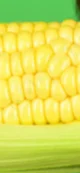 Yandere-Corny